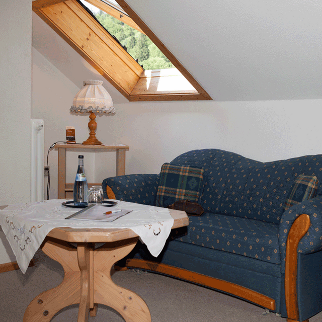 Hotel Landgasthaus Kurz Todtnau - Single room