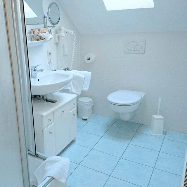Hotel Landgasthaus Kurz Todtnau - Single room