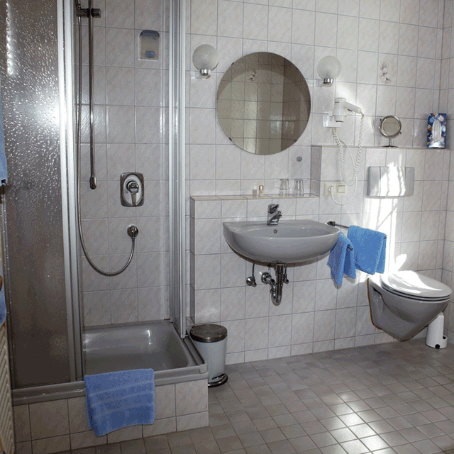Hotel Landgasthaus Kurz Todtnau - Single room
