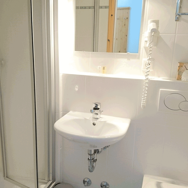 Hotel Landgasthaus Kurz Todtnau - Single room