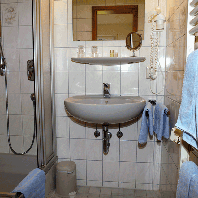 Hotel Landgasthaus Kurz Todtnau - Single room